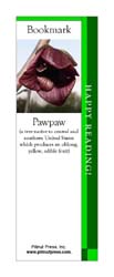 This bookmark depicts a Pawpaw Blossom.