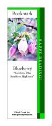 This bookmark depicts a Sunshine Blue Blueberry.