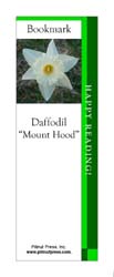 This bookmark depicts a Mount Hood Daffodil.