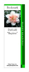 This bookmark depicts a Pink Replete Daffodil.