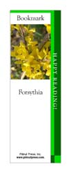 This bookmark depicts a Forsythia.