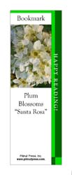 This bookmark depicts Santa Rosa Plum Blossoms.