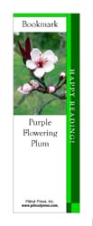 This bookmark depicts a Purple Flowering Plum.